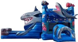 97d07b8b b4c1 4d1d b18e b340d949f151 Photoroom.1 1764957434 AL's Shark Attack Combo