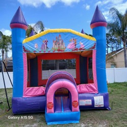 651794795 950083510863317 1622783460646645572 n 1776023600 AL's Princess Castle Bounce